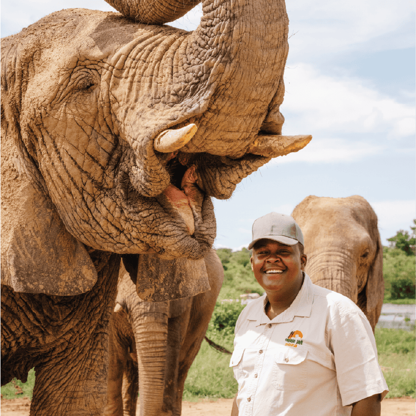 ELI INTER 3 Elephant Interaction 5