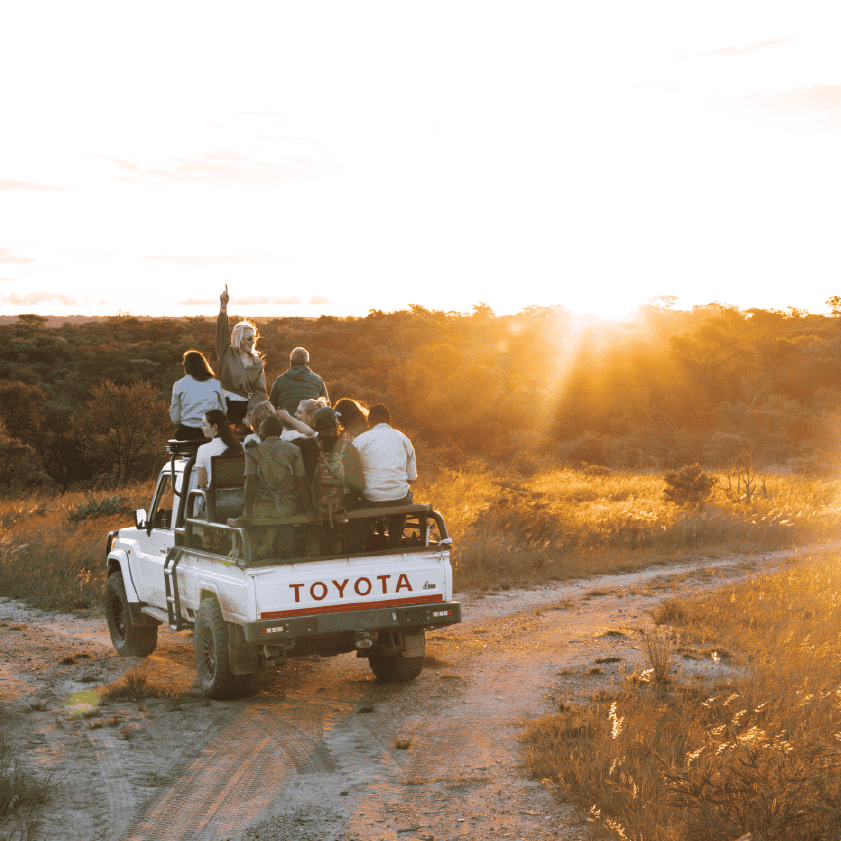 GAME DRIVES Game Drives