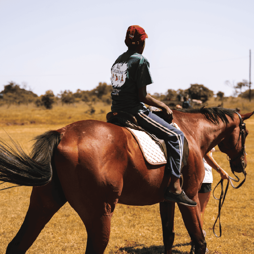 Horseback Safari<br />
