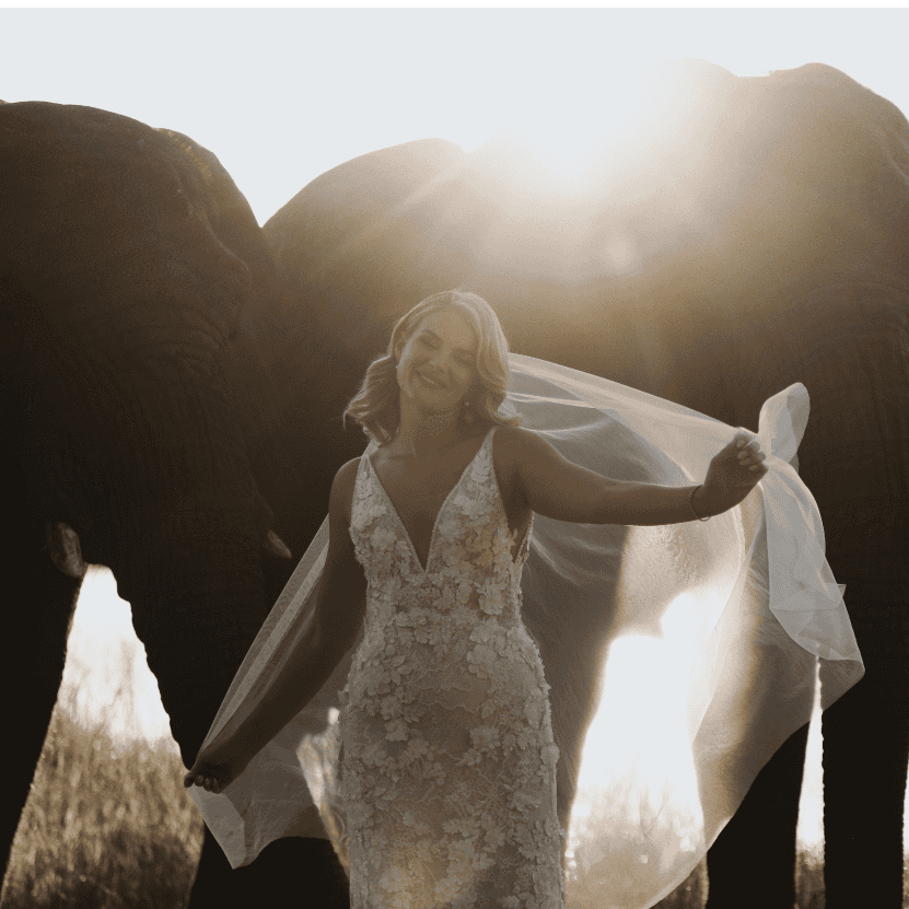Wedding 1