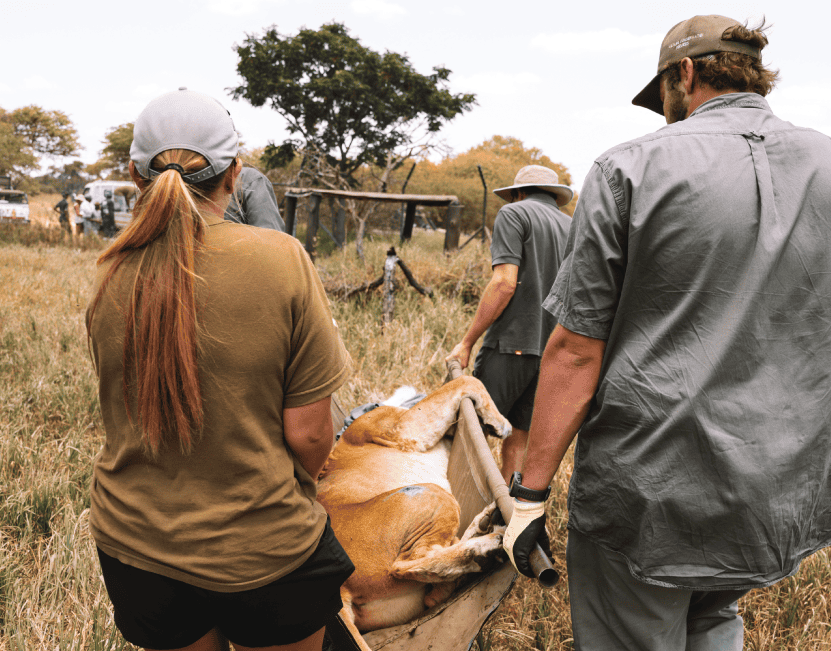 Wildlife Conservation<br />
