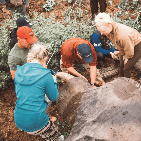 Wildlife Conservation<br />
